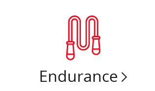 Endurance Icon